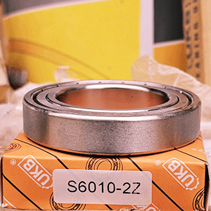 vong bi inox 6010